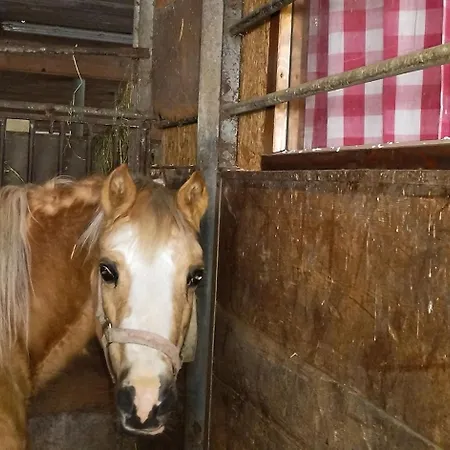 팜스테이 Haengebett Im Stall