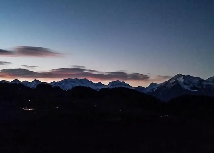 Haengebett Im Stall *