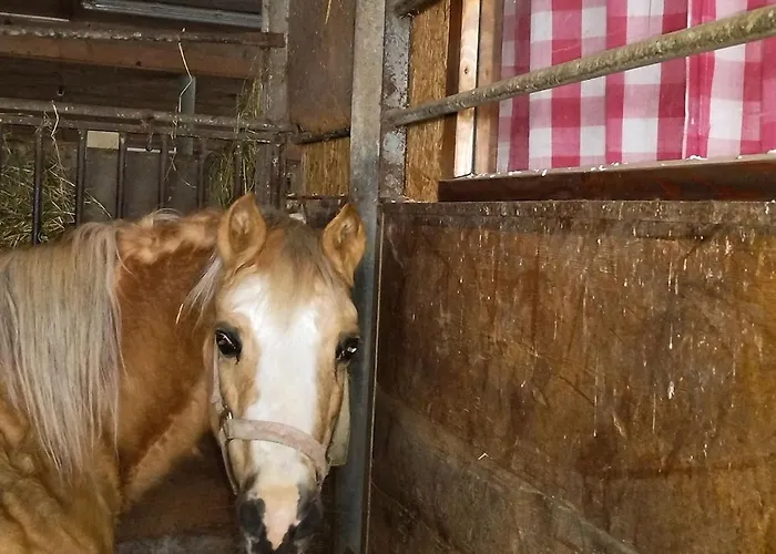 مزرعة للإقامة Haengebett Im Stall