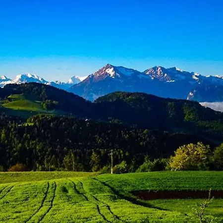 Haengebett Im Stall *