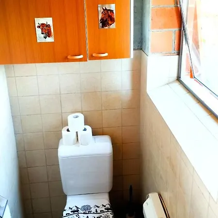 Haengebett Im Stall Farma